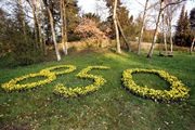 850 Jahre